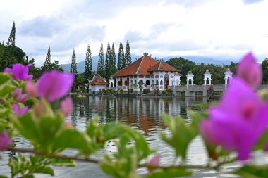 Bali, Endonezya - 30 Mart 2025: Bali 'nin Karangasem naipliğinde 