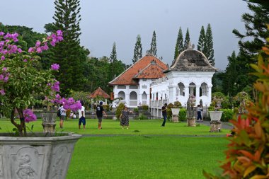 Bali, Endonezya - 30 Mart 2025: Bali 'nin Karangasem naipliğinde 