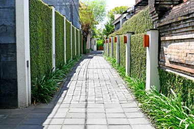 Döşeme döşemesi ve yeşil duvarı olan küçük bir çete.