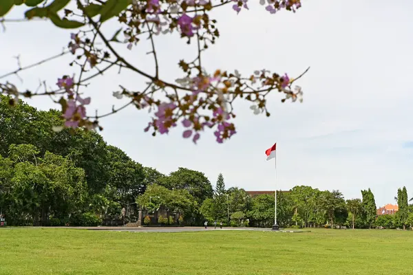 Bali, Endonezya - 4 Nisan 2025: Yeşil bitki ve ağaçlarla dolu Kamu Parkı, Badung Regency, Bali Endonezya, gündüz vakti