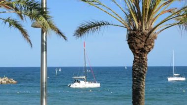 Barcelona, İspanya - 29 Mayıs 2022: Balear Denizi 'nde Palmiye ağaçlarından teknelere bakış. Yüksek kalite 4k görüntü