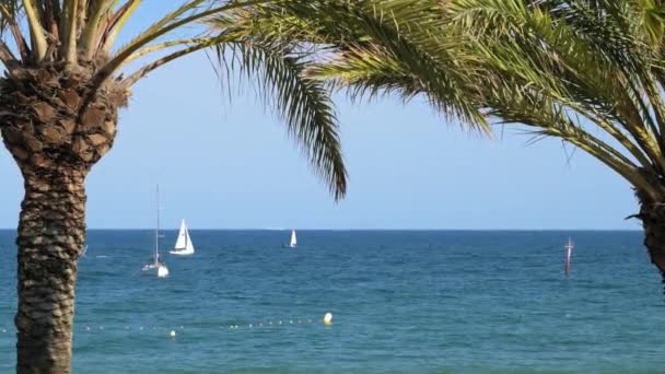 スペインのバルセロナ 2022年5月29日 バレアレス海に浮かぶボートにヤシの木を通して見る 高品質4K映像 — ストック動画