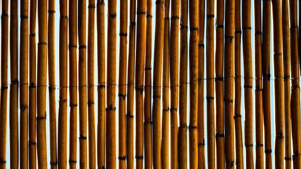 Background Of Bamboo Sticks Roof Through Which Can See Sky And Sunlight. High quality photo