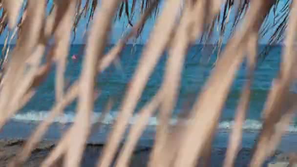 Moraitika Greece 2022 Beach Umbrella Made Palm Leaves Sway Wind — Stock Video