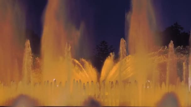 Night Shot Performance Singing Magic Fountain Montjuic Barceloně Katalánsko Španělsko — Stock video