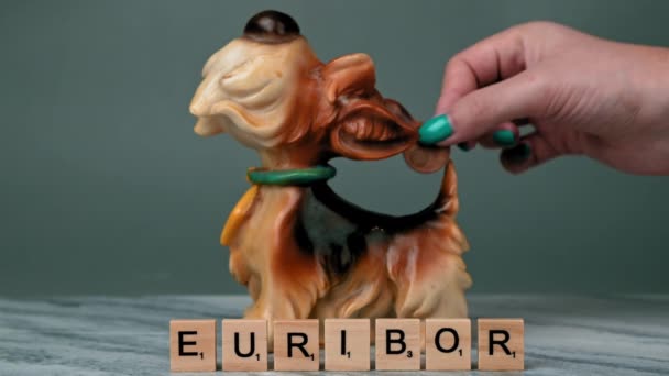 欧洲文字的静态射击是用灰色背景的木制字母书写的 在皮吉银行后面 有一只狗和一个女人把欧元的钱扔了进去 减少储蓄的概念 高质量4K — 图库视频影像