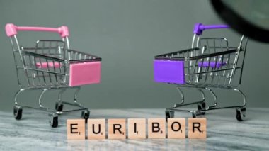 EURIBOR 'un Sabit Çekimi Gri Arkaplanda Tahta Harflerle Yazılıyor. İki boş alışveriş sepetinin arkasında. Azalan Satın Alma Gücü kavramı. Kadın Büyüteçle Bakıyor. 
