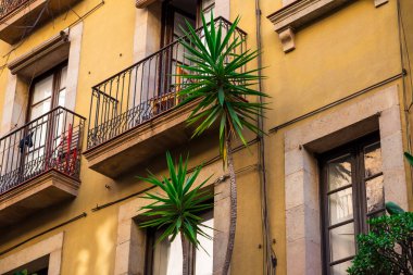 Barcelona, Spain - May 26 2022: Narrow Streets Of Gothic Quarter With Beautiful Little Balconies With Wrought Iron Railings. High quality photo