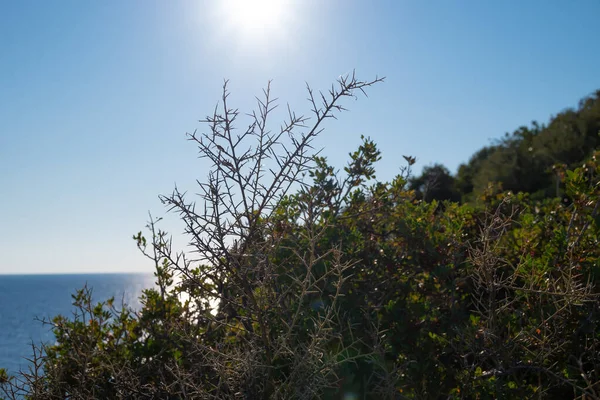 アルコディラスからの景色山とイオニア海のコルフ ギリシャの視点 高品質の写真 — ストック写真