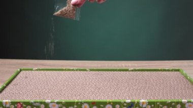 Kadınların Eli, kedilerin dikkatini çekmek için kartondan tırmalayan kedi nanesi döker. Yüksek kalite 4k görüntü