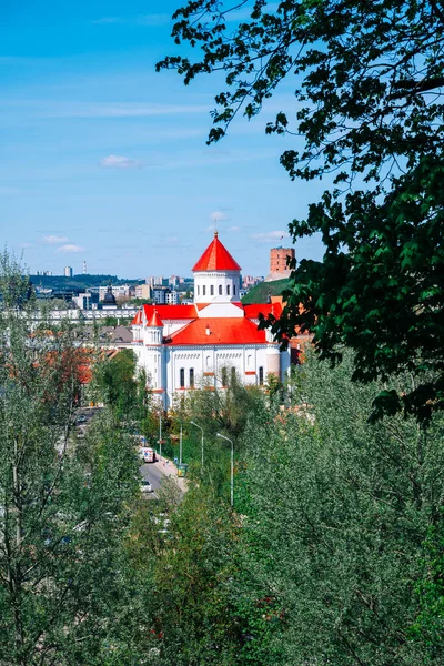 Vilnius Lithuanian 2023 View Cathedral Most Pure Mother God Leaves — 스톡 사진
