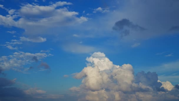 Timelapse Summer Blue Sky Air Clouds Concept Dynamic Skies Majestic — Stock Video