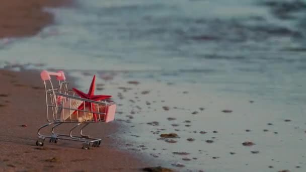 Miniaturní Nákupní Košík Stojí Břehu Moře Který Omýván Vodou Košíku — Stock video