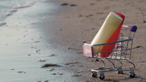 Μινιατούρα Καλάθι Αγορών Στην Ακτή Πλένονται Νερό Υπάρχουν Δύο Μπουκάλια — Αρχείο Βίντεο