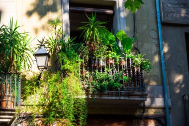 Barselona, İspanya - 26 Mayıs 2022: Gazaplı Demir parmaklıklar ve birçok bitkiyle Güzel Küçük Balkonları olan Gotik Mahallenin Dar Sokakları. Yüksek kalite fotoğraf