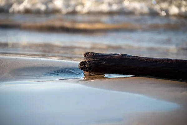 Close Wet Snag Lying Sand Water High Quality Photo — Stock Photo, Image