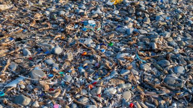 Dünya yüzeyi taşlarla, kuru dallarla ve büyük miktarda mikro plastikle kaplıdır. Yüksek kalite fotoğraf