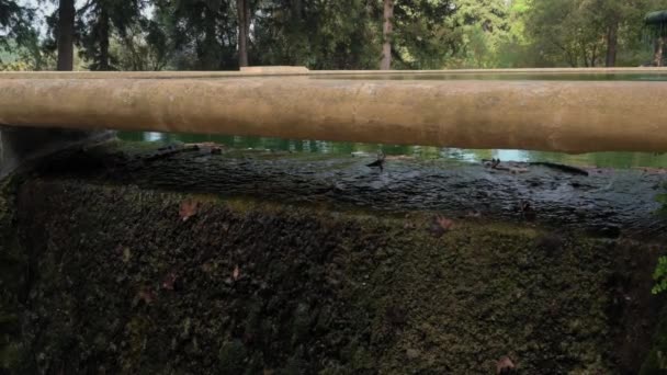 Eine Brücke Über Ein Gewässer Mit Grünlicher Tönung Das Wasser — Stockvideo