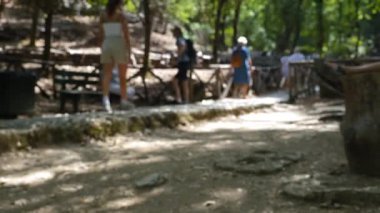 Bir grup insan parkta bir yolda yürüyor. Yol banklar ve ağaçlarla dolu.