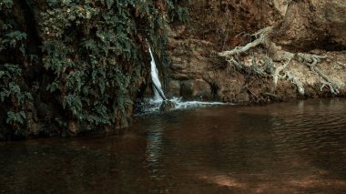  Ağaçlar ve bitkiler arasında, nehrin yanında küçük bir şelale akar. Bu doğal manzara nehir kıyısı ve su yolu ile zenginleştirilir. Yüksek kalite fotoğraf