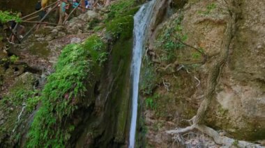 Bir grup insan şelaleye giden bir yolda yürüyor. Şelale yemyeşil bitkiler ve ağaçlarla çevrilidir. Huzurlu ve huzurlu bir sahne.