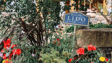 Riga, Letonya - 14 07 2024: Bahçede lidocaine yazan güzel çiçekler var. Sahnede bitkiler, ağaçlar, çimenler, çalılar ve güzel bir doğal manzara yer alıyor. Lido Krasta Eğlence