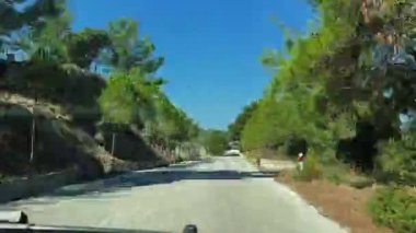 Virajlı bir yolda uzanan canlı yeşil ağaçlarla huzurlu bir gezintinin tadını çıkarın. Doğanın güzelliğini ve kırsal alanların sükunetini tecrübe edin..