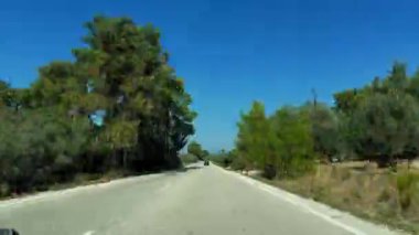 Güneşli bir günde, açık mavi gökyüzünün altında, yüksek ağaçlar ve canlı yeşilliklerle çevrili sakin bir kır yolunda huzurlu bir yolculuğun tadını çıkar..