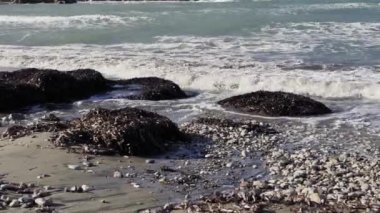 Kaliforniya kıyılarında güneşli bir öğleden sonra dalgalar gelip giderken deniz yosunlarıyla kaplı çarpıcı kayalar var. Doğa güzelliği sakin bir atmosferle yakalanır..