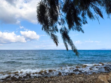 Dalgalar yapraklı dallarla çerçevelenmiş kayalık kıyı şeridine hafifçe çarpar. Parlak mavi gökyüzü ve dağınık bulutlar güneşli bir günde huzurlu kıyı atmosferini güçlendirir..