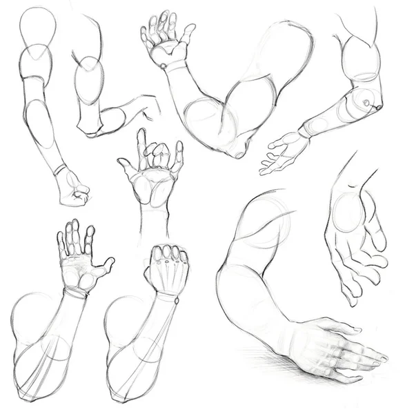 人的手在前置和旋转中的笔迹草图 为艺术家提供指导 解剖绘图 — 图库照片