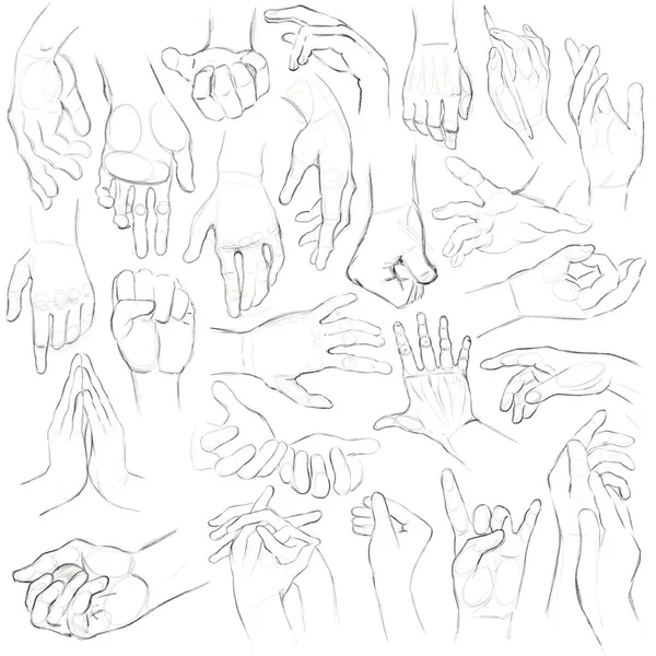 人的手和手指的笔迹草图 带有前兆和轮回 为艺术家提供指导 解剖绘图 一套图纸 — 图库照片