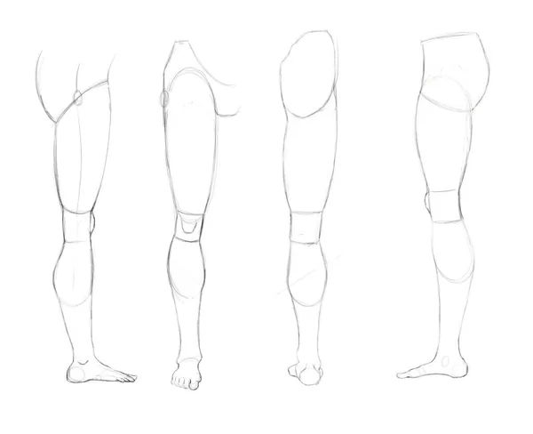 用一支简单的铅笔勾画人的腿 建立一条学习绘画的腿 — 图库照片
