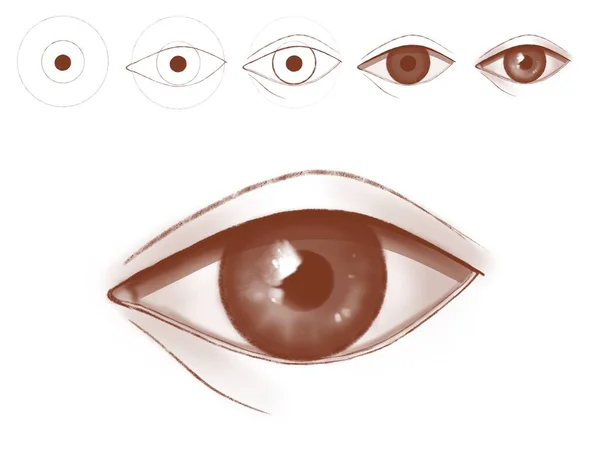 关于画人眼的指导 用于绘图的教育草图 为各种用途描绘一只眼睛 — 图库照片