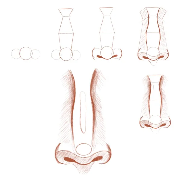 Tutorial on drawing a human nose. Educational sketch for drawing. Sketching for various uses.