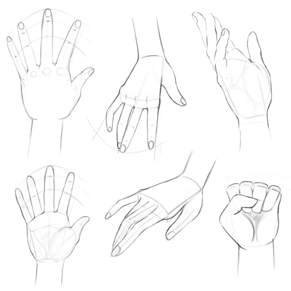Esboços Mãos Humanas Foreshortenings Voltas Desenho Com Linhas Auxiliares Tutorial — Fotografia de Stock