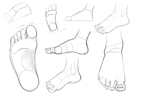 Náčrtky Lidských Nohou Předklonu Zatáčkách Kreslení Pomocným Vedením Výuka Pro — Stock fotografie