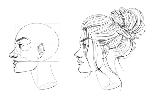 Construction of the human head in profile. Drawing with auxiliary lines. Tutorial for artists. Drawing for different uses.