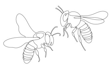 Havada iki arı uçuyor. Yararlı böcekler. Dünya Arı Günü. Farklı kullanım alanları için bir çizgi. Vektör illüstrasyonu.