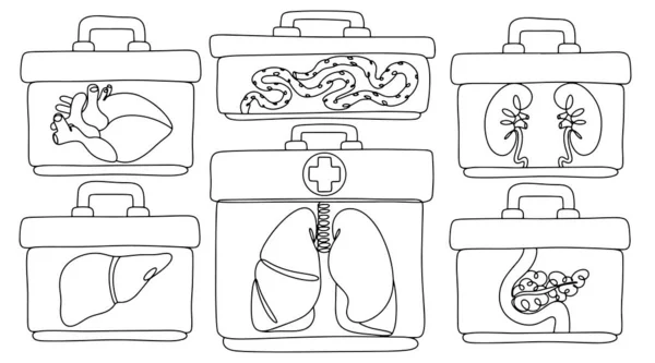 Трансплантация Человеческих Органов Спасения Жизней Человеческие Органы Изотермических Медицинских Контейнерах — стоковый вектор