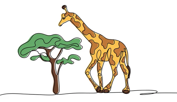 stock vector A giraffe stands near an acacia tree. The tallest animal in the world. World Giraffe Day. One line drawing for different uses. Color vector illustration.