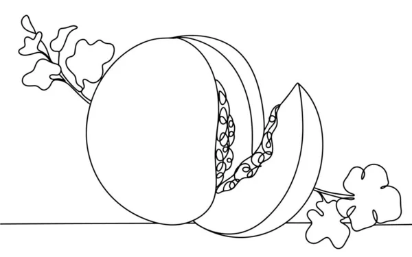 Melon Avec Feuilles Haulm Dessin Ligne Pour Différentes Utilisations Illustration — Image vectorielle