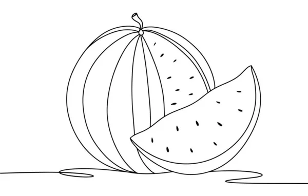 Watermelon Summer Berry One Line Drawing Different Uses Vector Illustration — Stock Vector