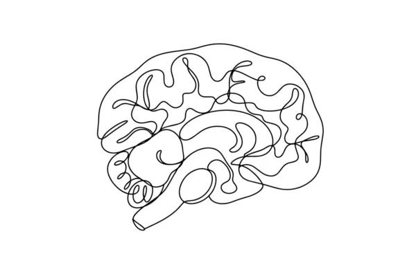ヒトの脳の解剖学的構造 世界脳の日 異なる用途のための1つの線画 ベクターイラスト — ストックベクタ