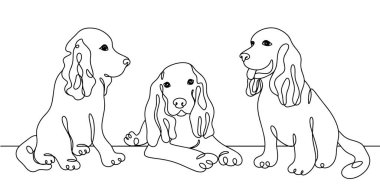 Cocker Spaniel farklı pozlarda. Şirin köpek cinsi. Av köpeği. Uluslararası Köpek Günü. Farklı kullanım alanları için bir çizgi. Vektör illüstrasyonu.