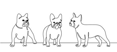 Fransız bulldog 'u farklı pozlarda. Uluslararası Köpek Günü. Farklı kullanım alanları için bir çizgi. Vektör illüstrasyonu.