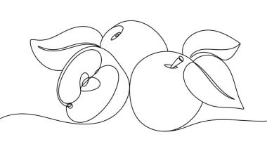 Elmalar masanın üstünde. Faydalı meyve. Uluslararası Elma Ye Günü. Farklı kullanım alanları için bir çizgi. Vektör illüstrasyonu.