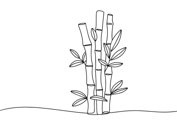 Bambusové Stonky Neobvyklá Orientální Rostlina Světový Den Bambusu Jeden Výkres — Stockový vektor