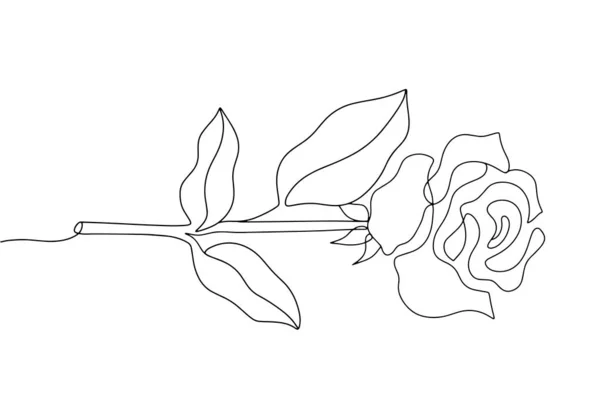 Rosa Encuentra Sobre Una Superficie Plana Día Mundial Rosa Dibujo — Archivo Imágenes Vectoriales