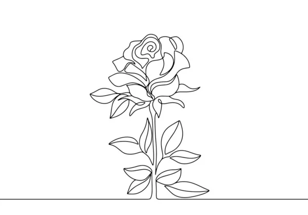 Rose Stem Leaves Beautiful Flower World Rose Day One Line — Stock Vector